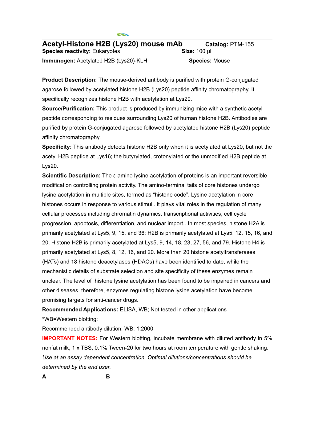 Acetyl-Histoneh2b (Lys20)Mousemab Catalog: PTM-155