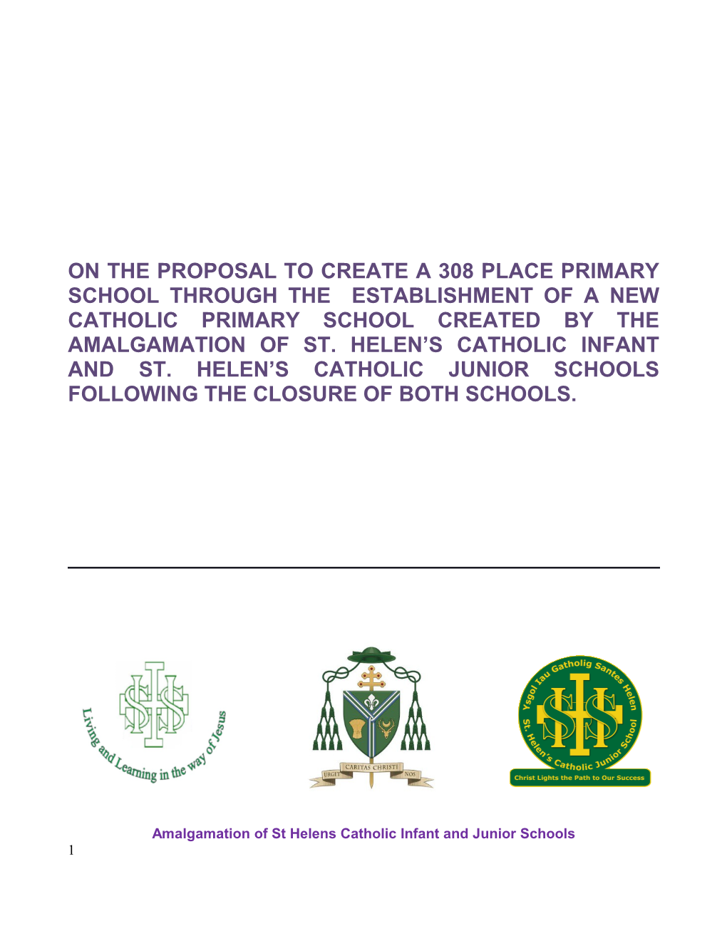 On the Proposal to Create a 308 Place Primary School Through the Establishment of a New