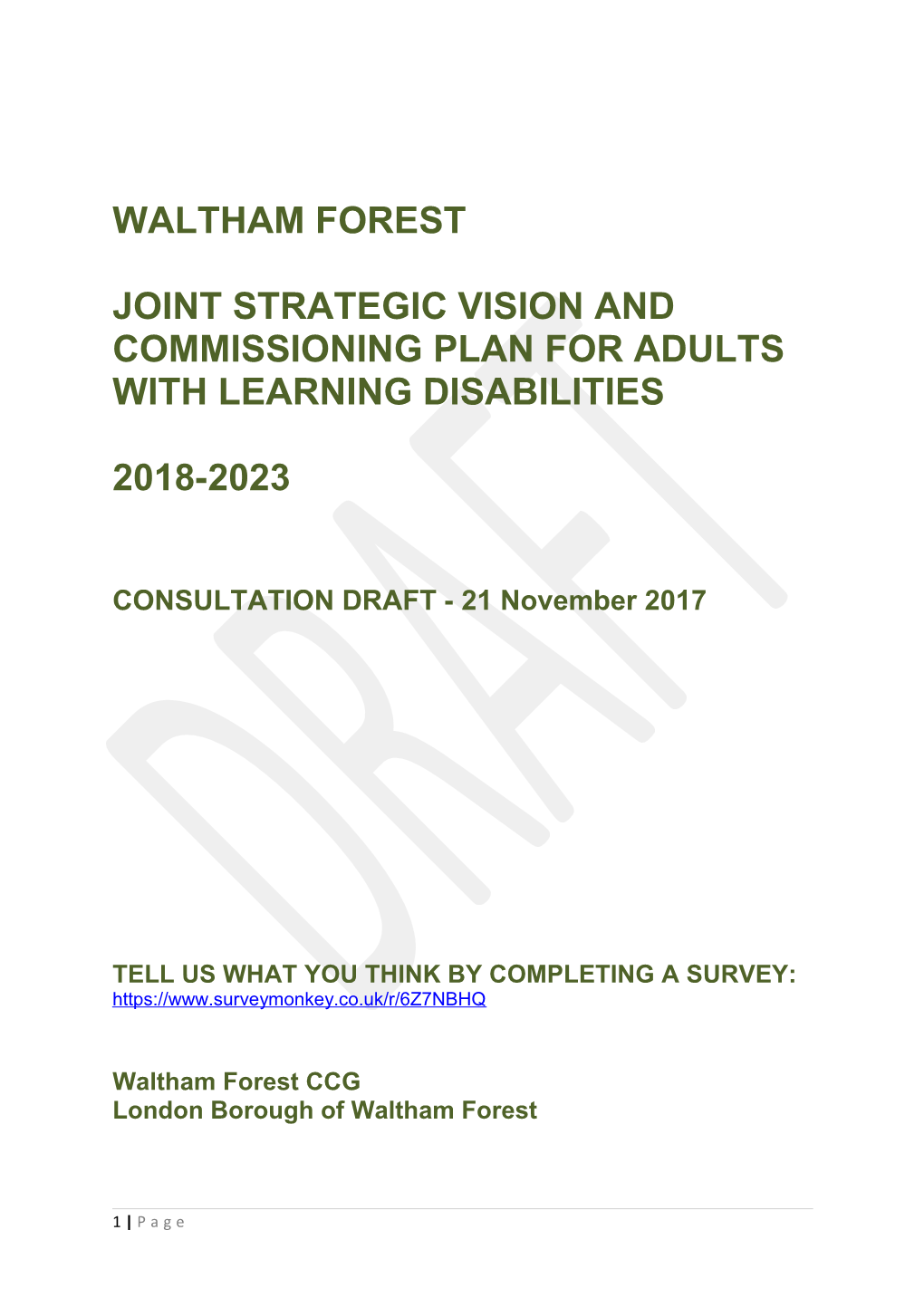 Joint Strategic Vision and Commissioning Plan for Adults with Learning Disabilities