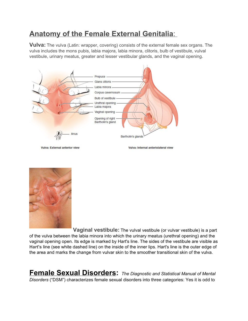 Anatomy of the Female External Genitalia