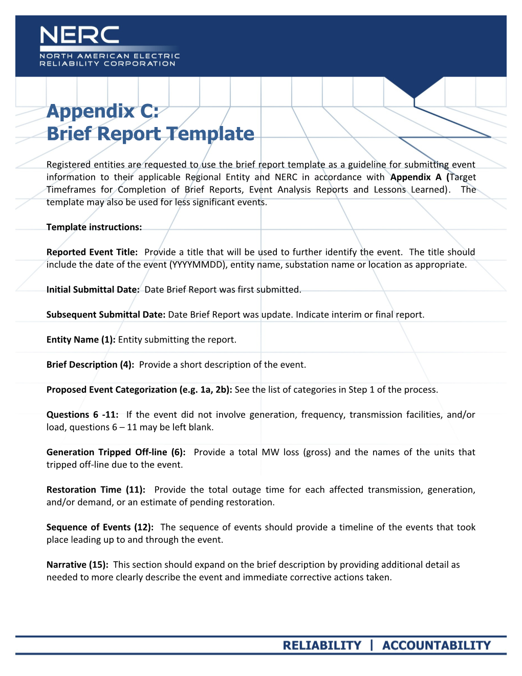 Appendix C - Brief Report Template
