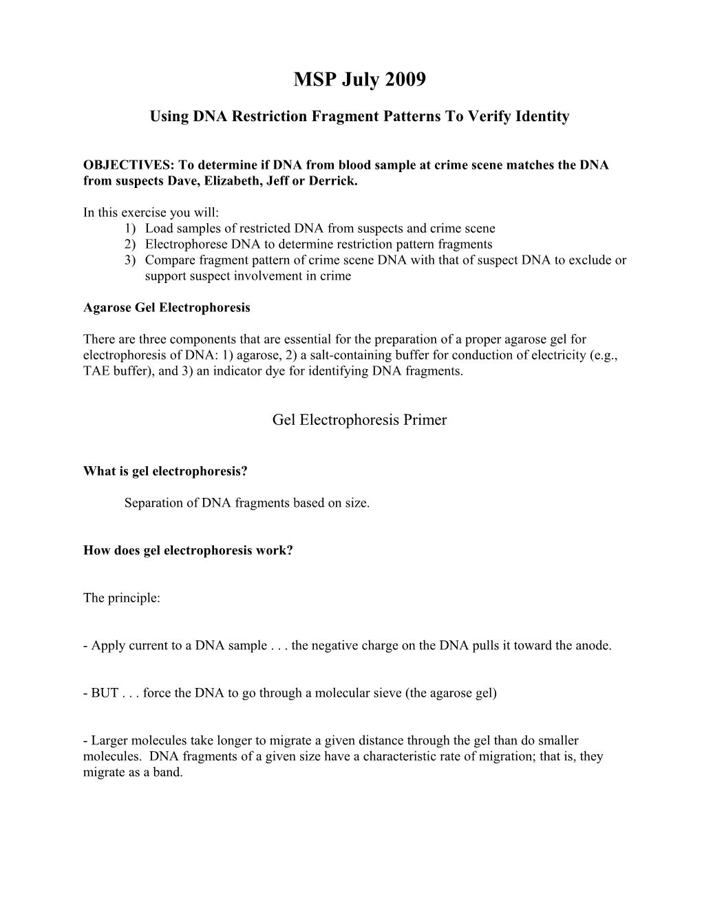 Using DNA Restriction Fragment Patterns to Verify Identity