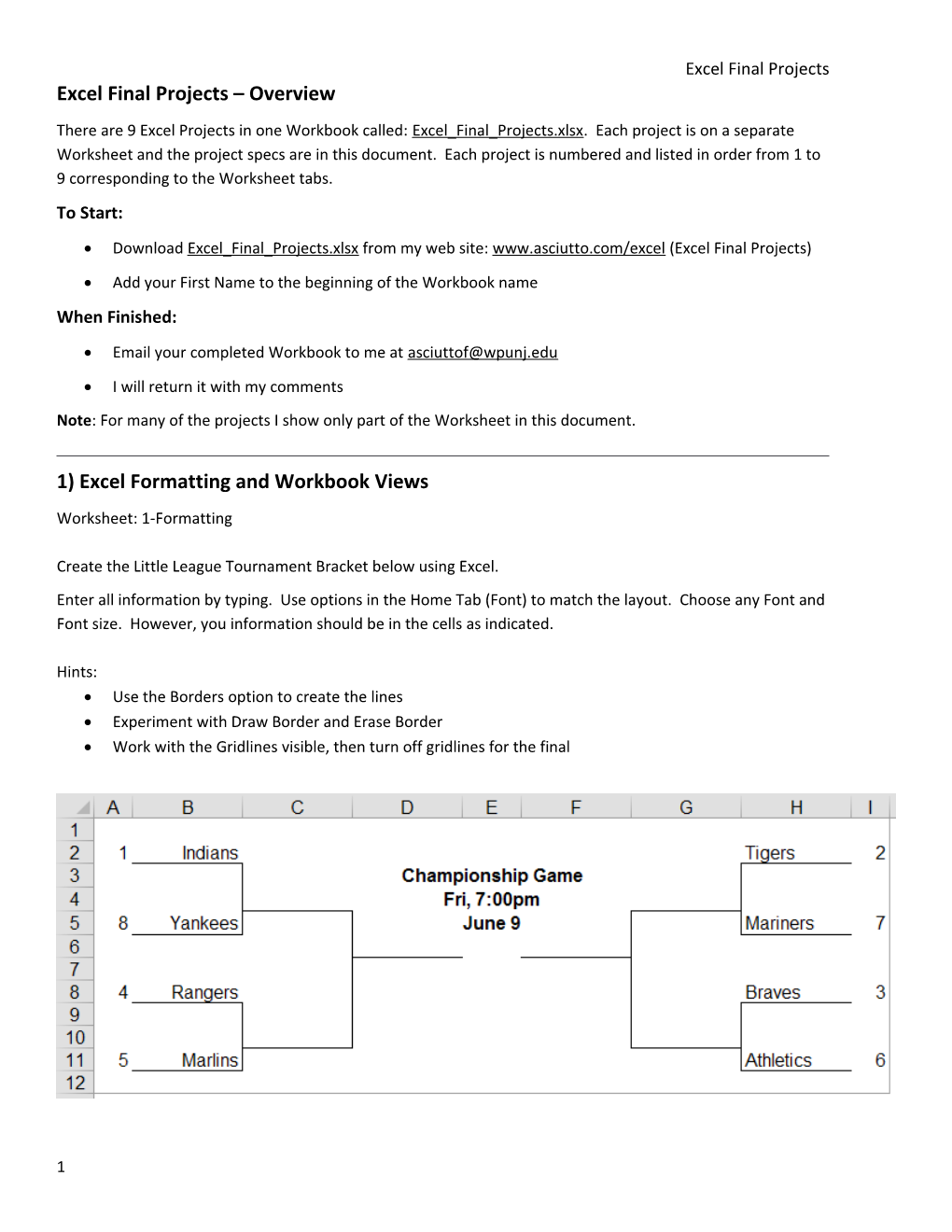 Excel Final Projects Overview