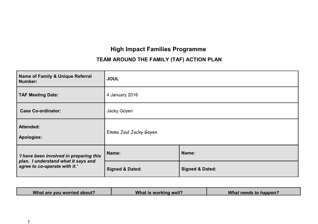 Impact Initial Care Plan for Non-Statutory Cases