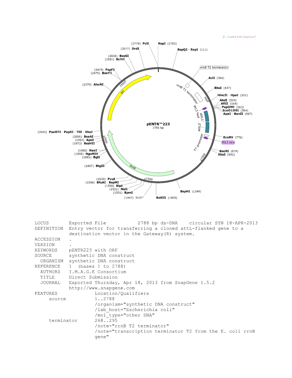 LOCUS Exported File 2788 Bp Ds-DNA Circular SYN 18-APR-2013