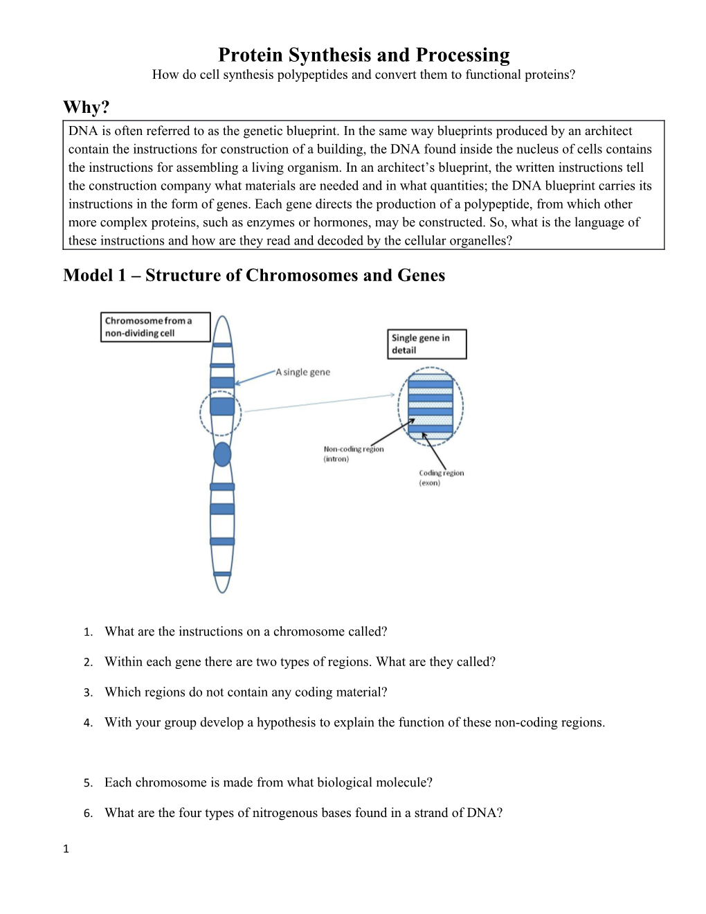 Protein Synthesis and Processing