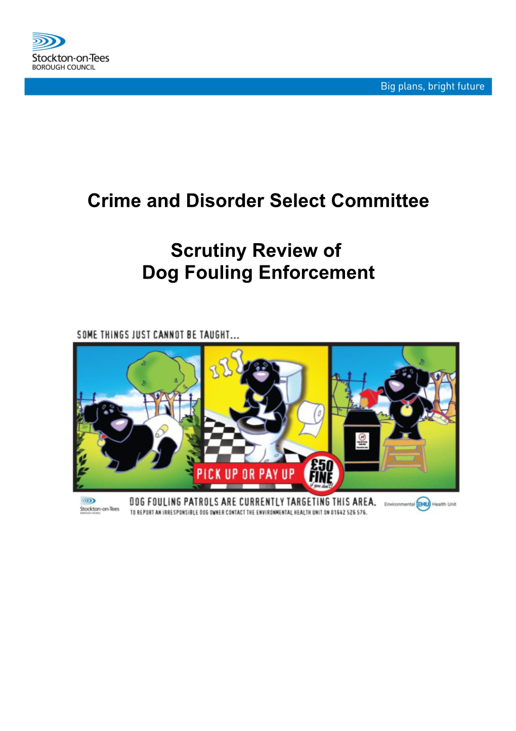 Crime and Disorder Select Committee