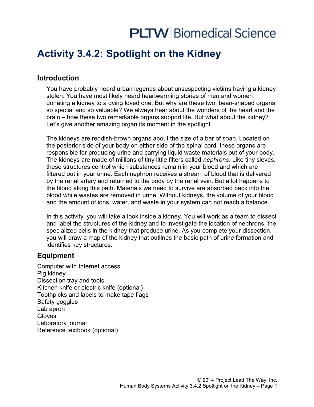 Activity 3.4.2: Spotlight on the Kidney