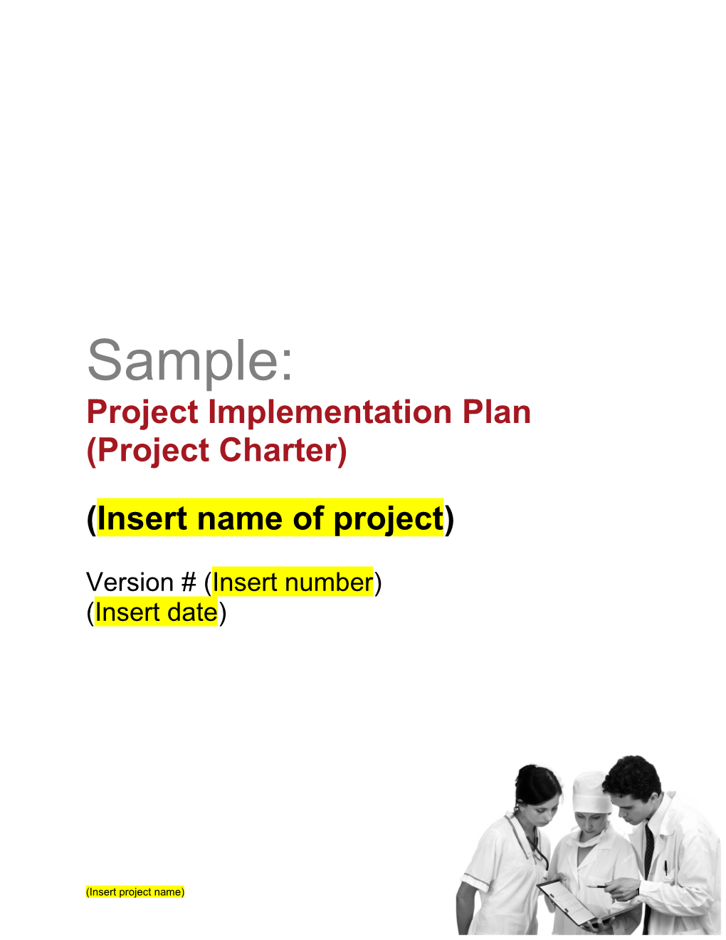 Project Implementation Plan (Project Charter)