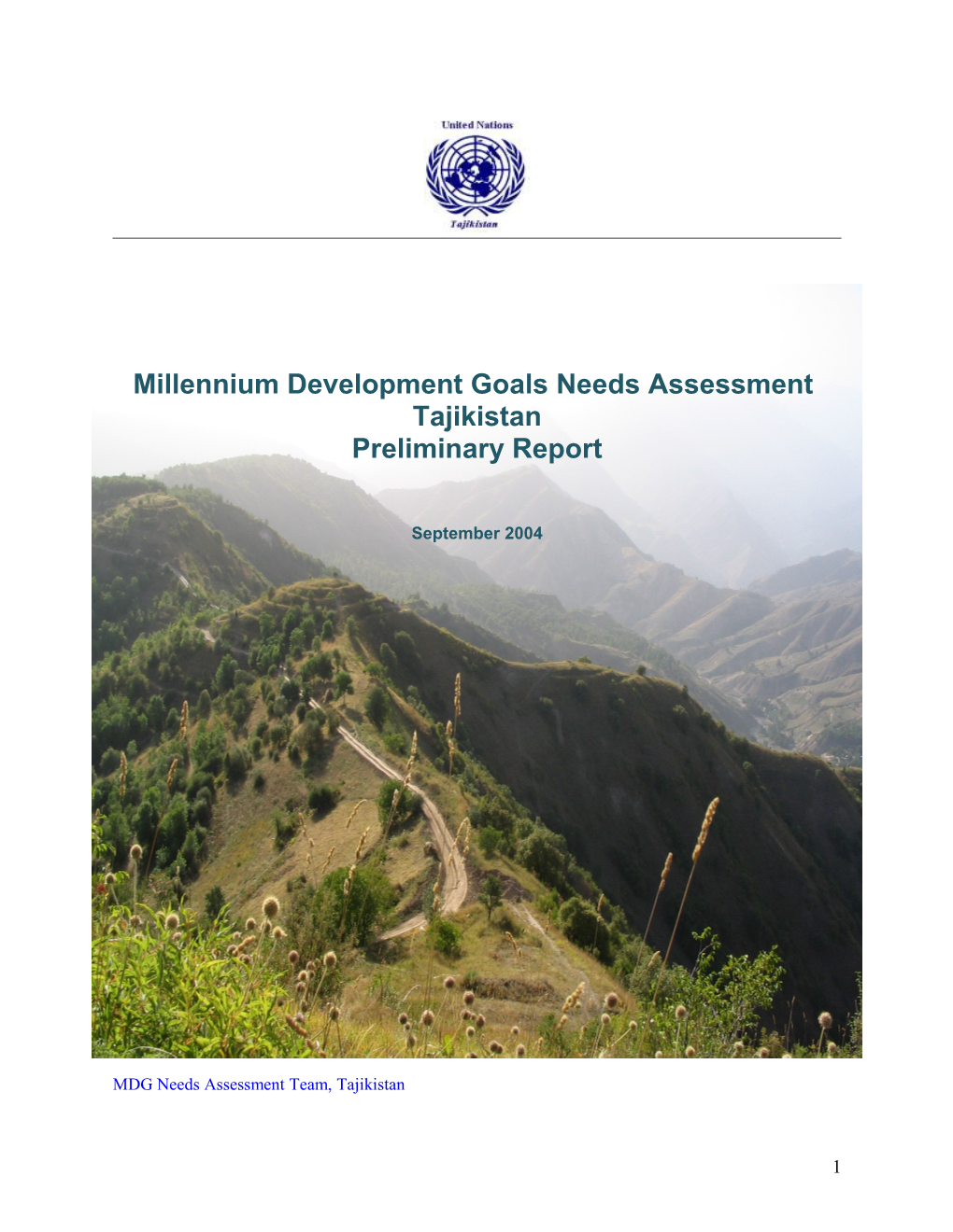 Millennium Development Goals Needs Assessment