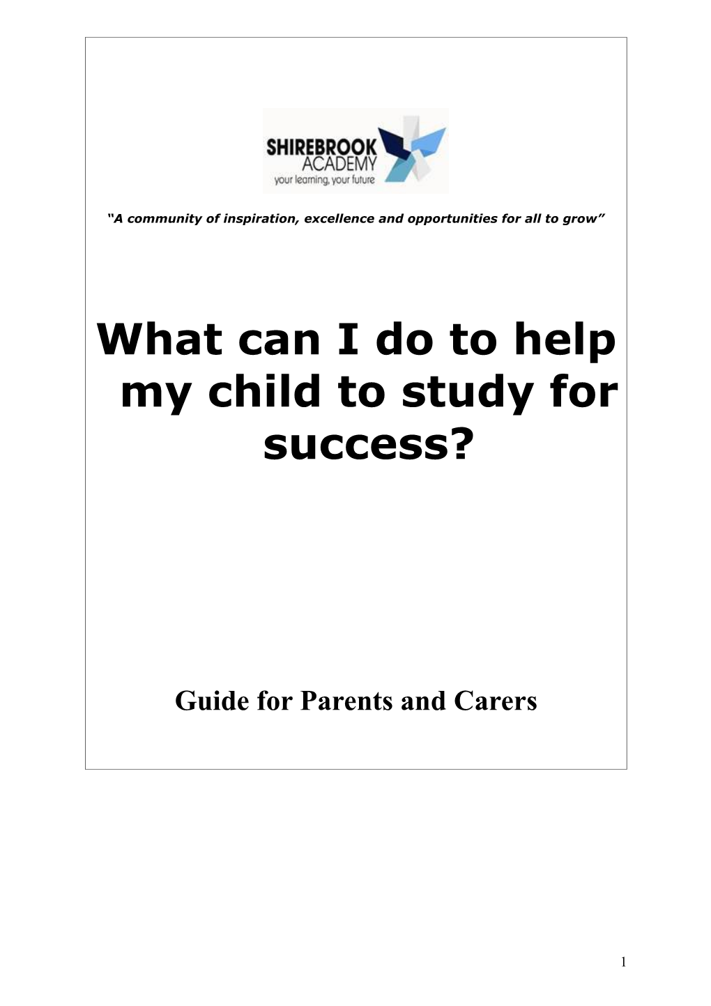 What Can I Do to Help My Child with Revision