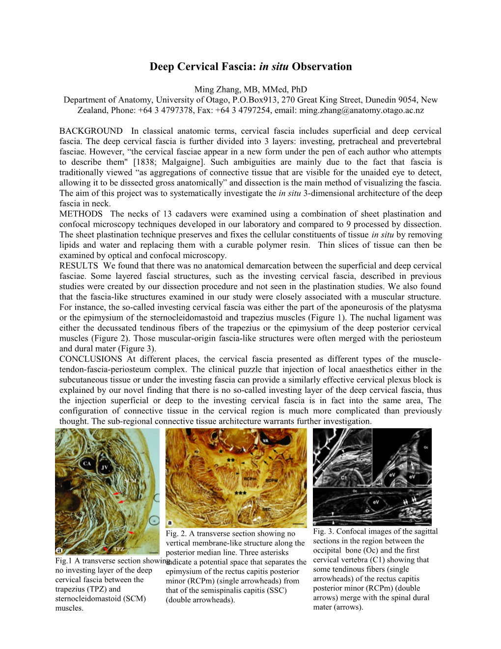Scientific Potential of Plastination: Tissue Patterning and Sheet Plastination