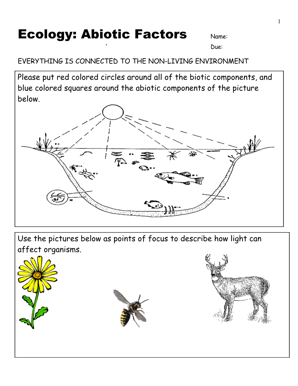 Ecology: Abiotic Factors