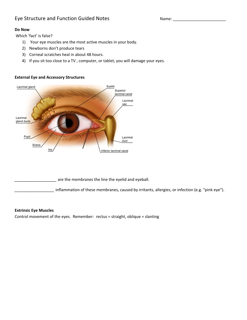 Eye Structure and Function Guided Notesname: ______