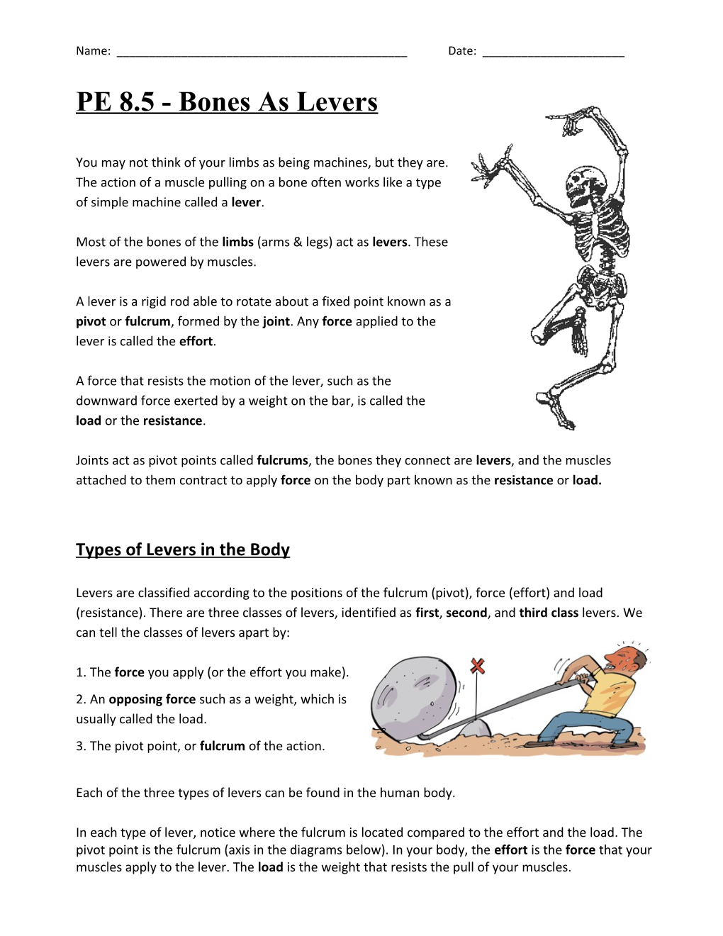 PE 8.5 - Bones As Levers