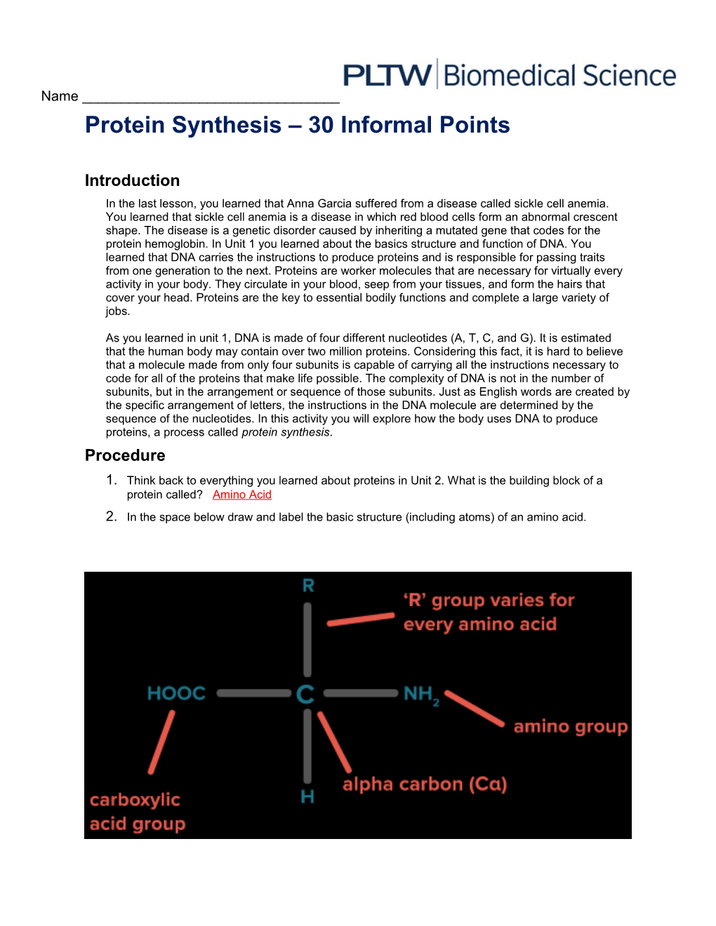 Protein Synthesis 30 Informal Points