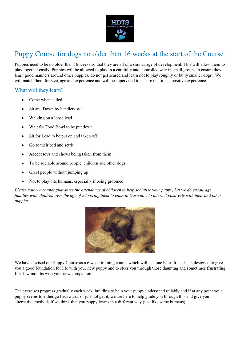 Puppy Course for Dogs No Older Than 16 Weeks at the Start of the Course