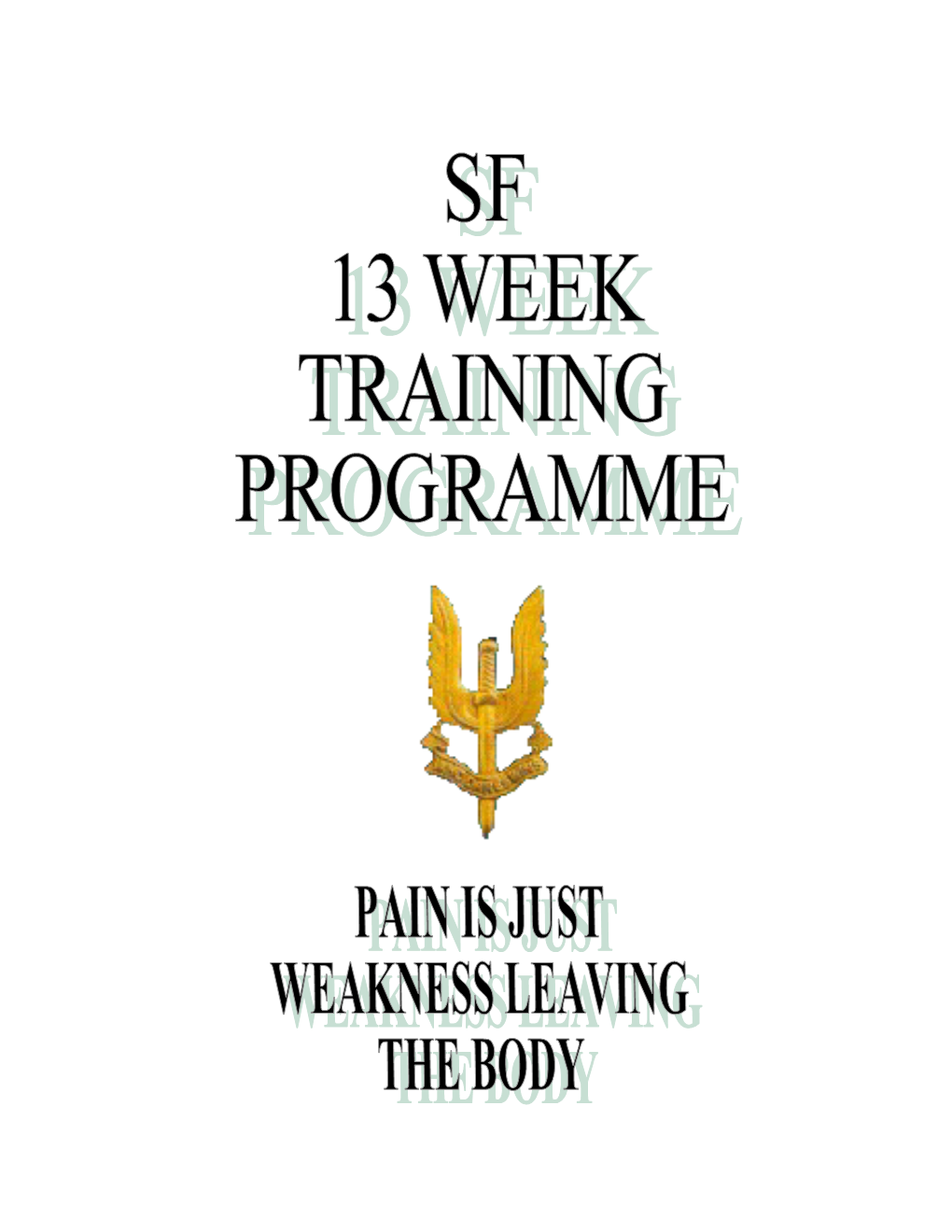 Special Forces Training Programme