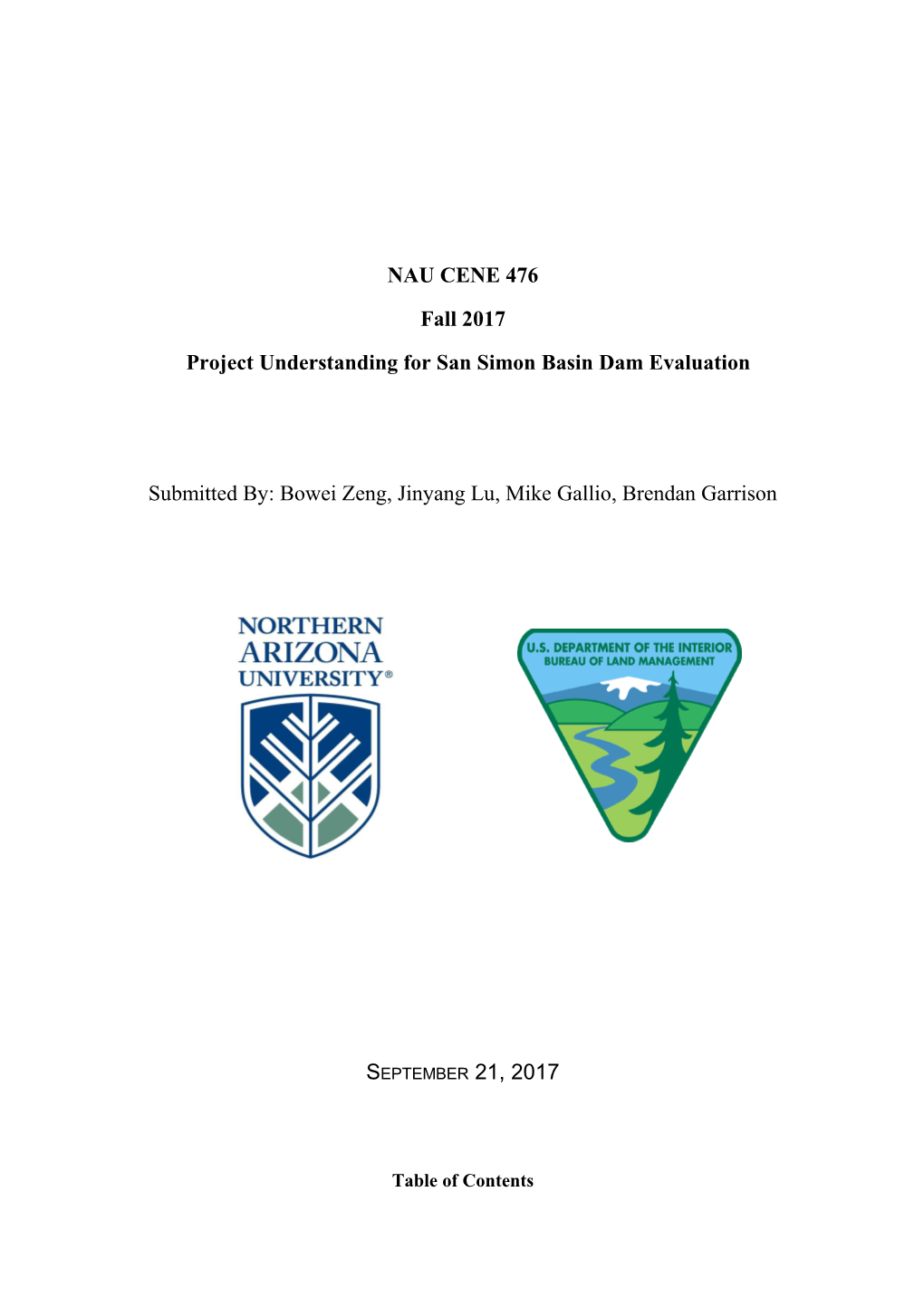 Project Understanding for San Simon Basin Dam Evaluation
