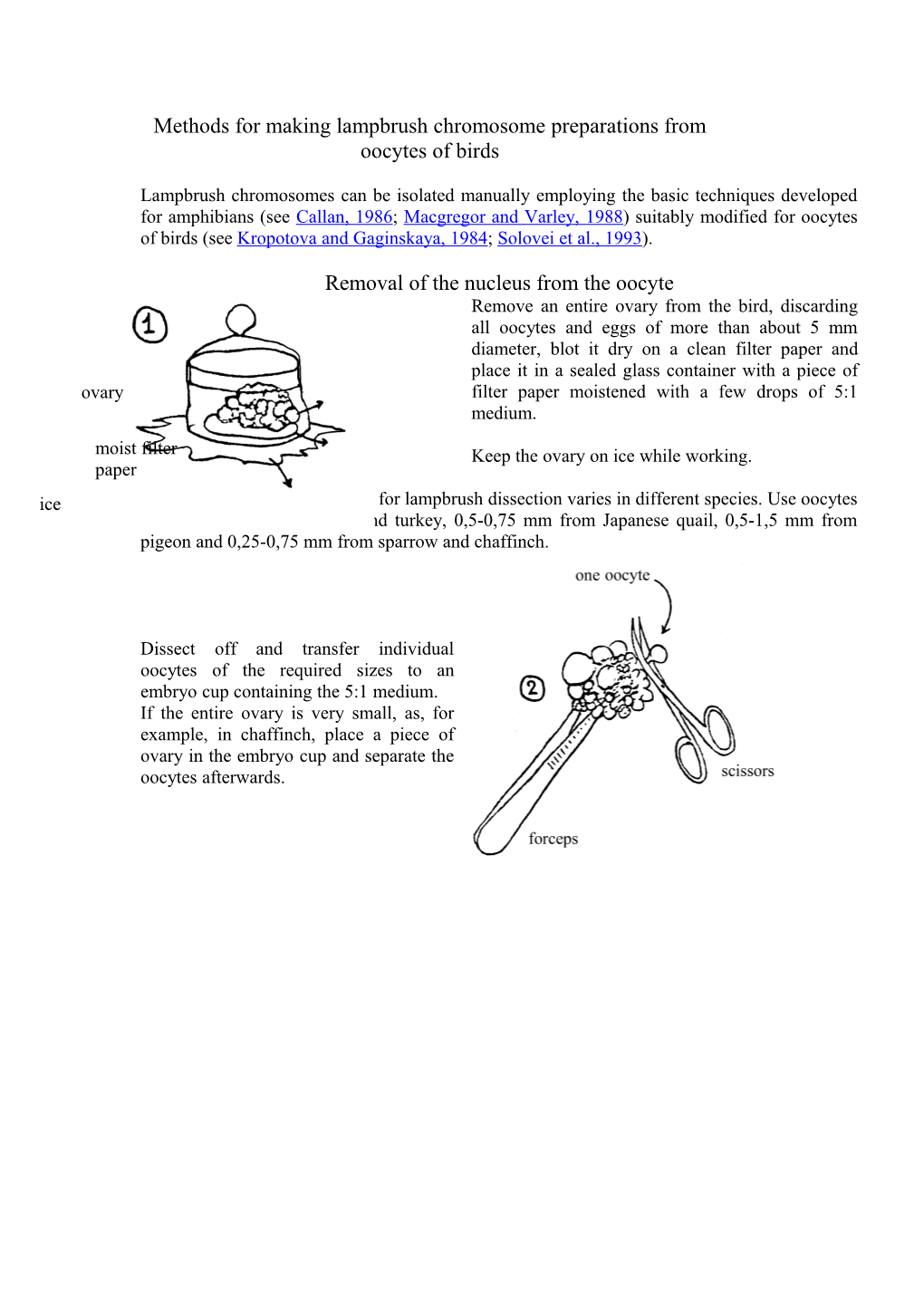 Methods for Making Lampbrush Chromosome Preparations from Oocytes of Birds