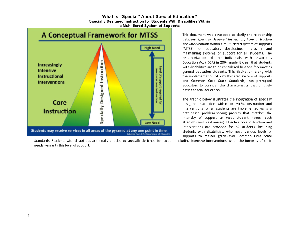 What Is Special About Special Education?