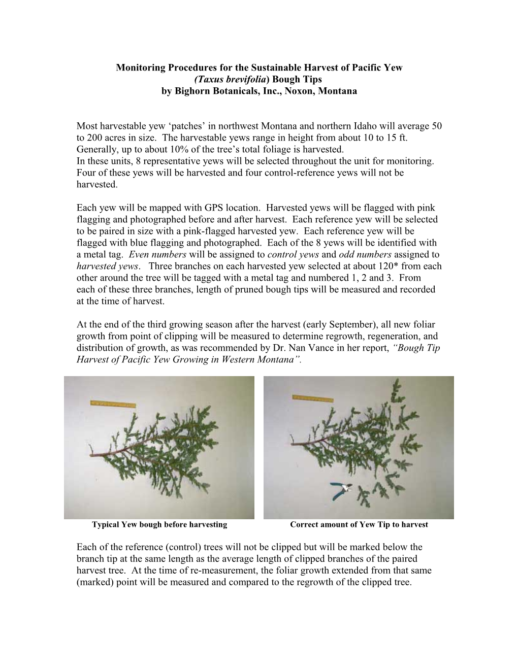 Monitoring Precedures for the Sustainable Harvest of Pacific Yew