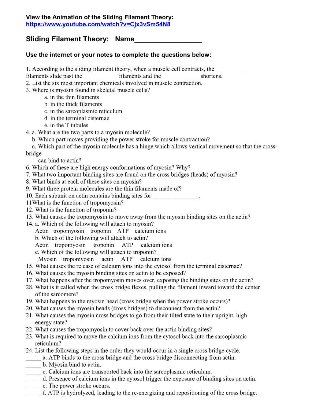 Study Questions on the Sliding Filament Theory