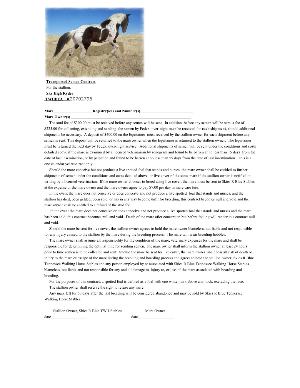 Equine Breeding Contract