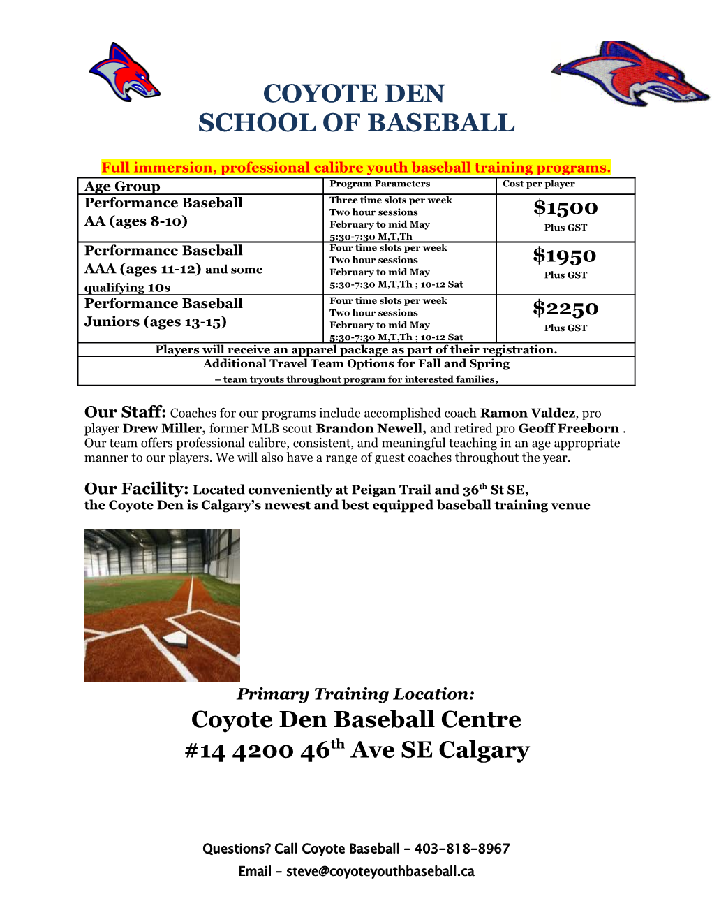 Full Immersion, Professional Calibre Youth Baseball Training Programs