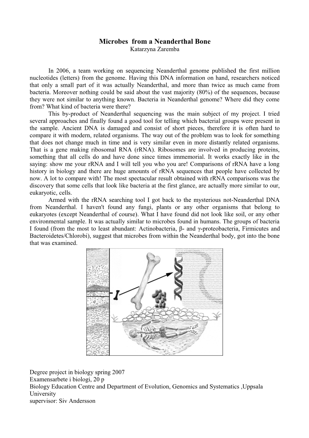 Microbes from a Neanderthal Bone