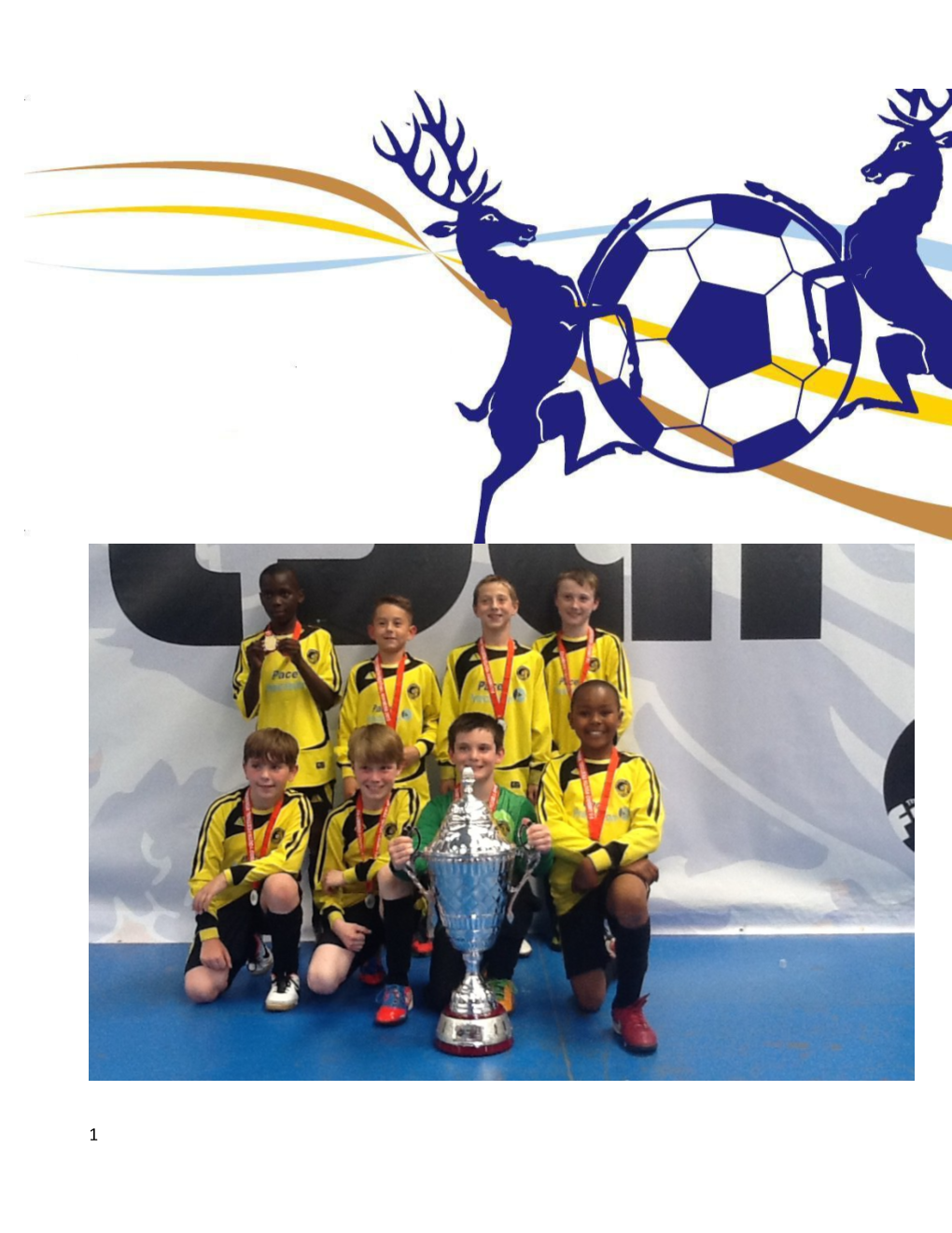 County Youth Futsal Competition 2015