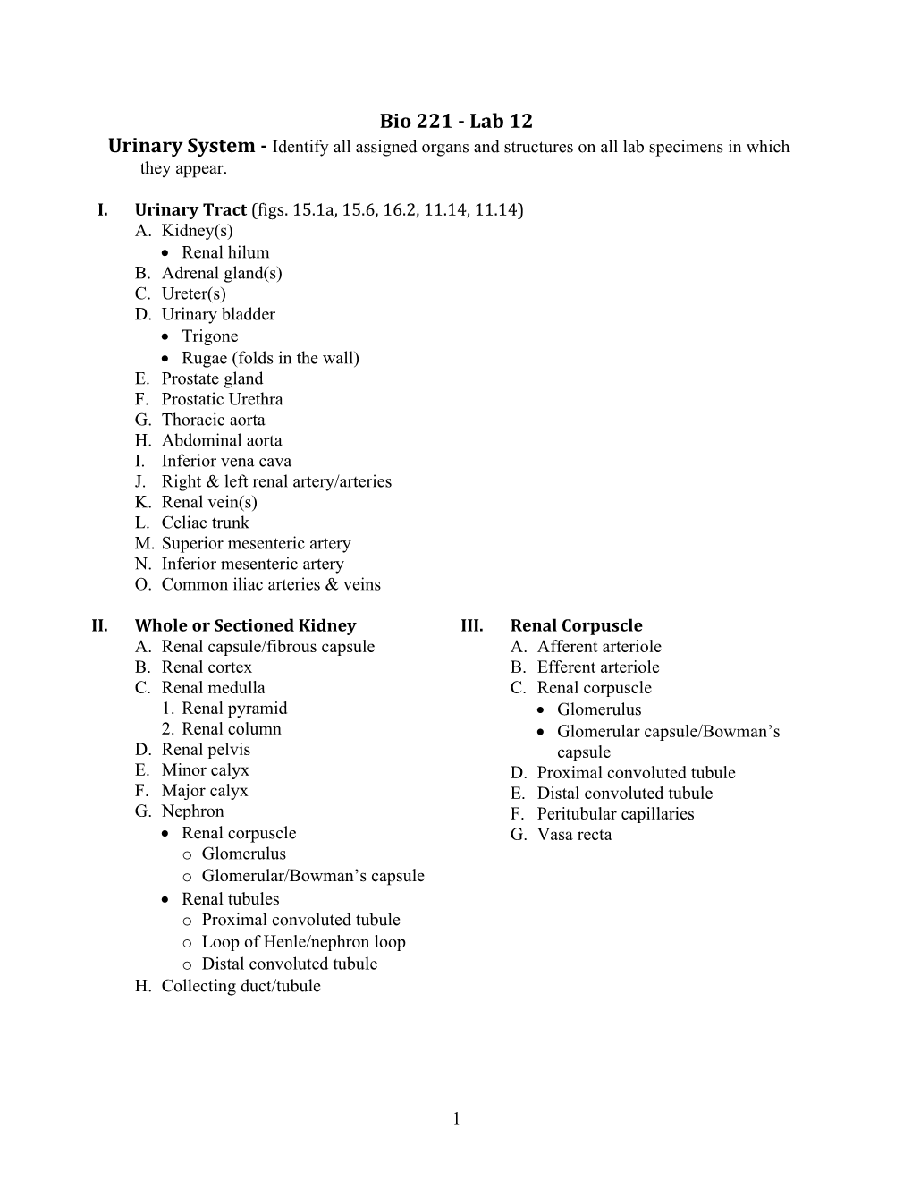 I.Urinary Tract(Figs. 15.1A, 15.6, 16.2, 11.14, 11.14)