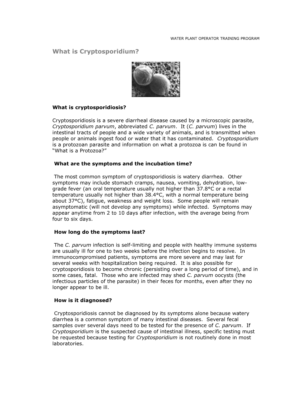 What Is Cryptosporidium