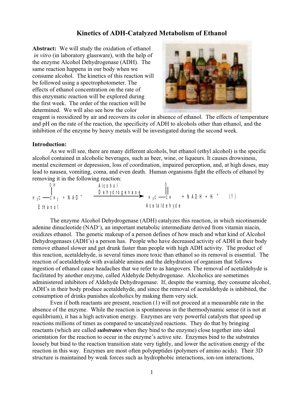 Kinetics of Alcohol Dehydrogenase