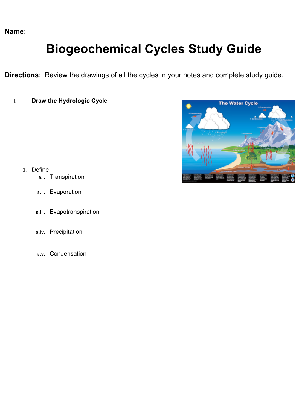 Biogeochemical Cycles Study Guide