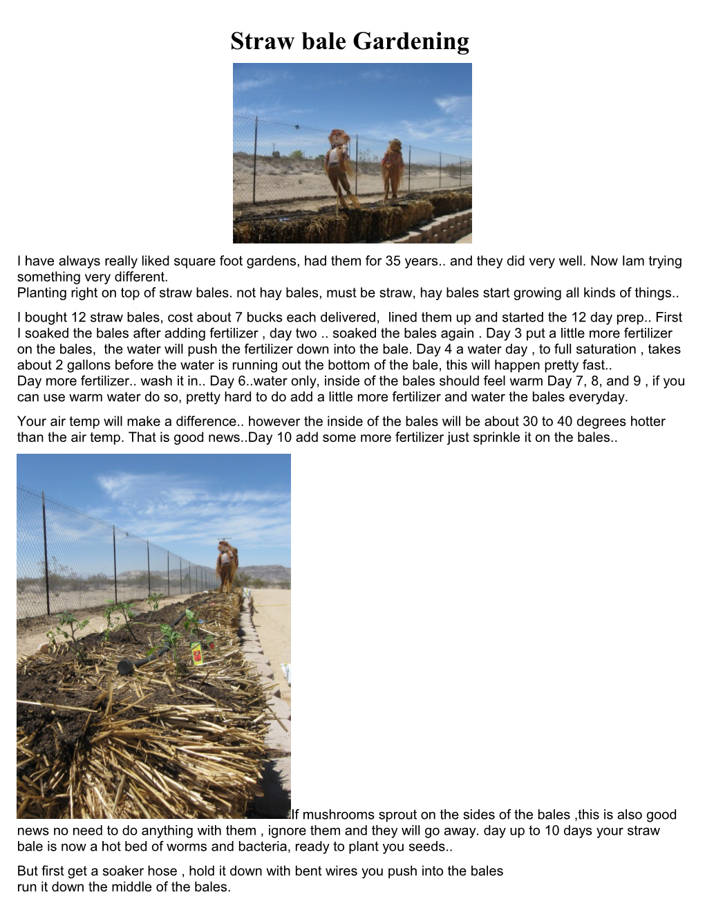 Straw Bale Gardening