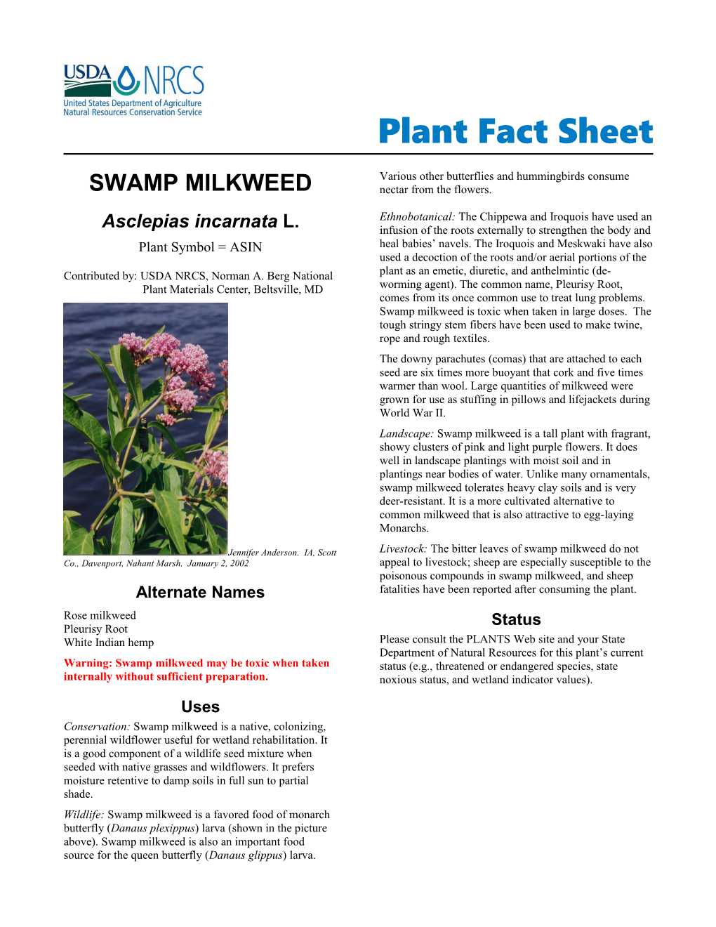 Swamp Milkweed, Asclepias Incarnata, Plant Fact Sheet