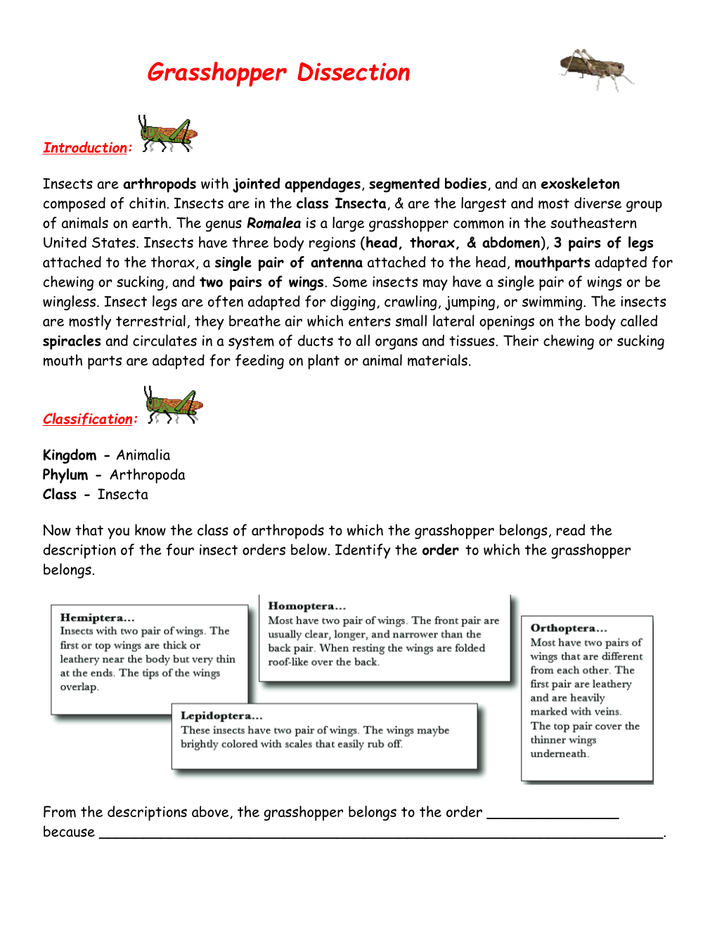 Kingdom - Animalia Phylum - Arthropoda Class - Insecta