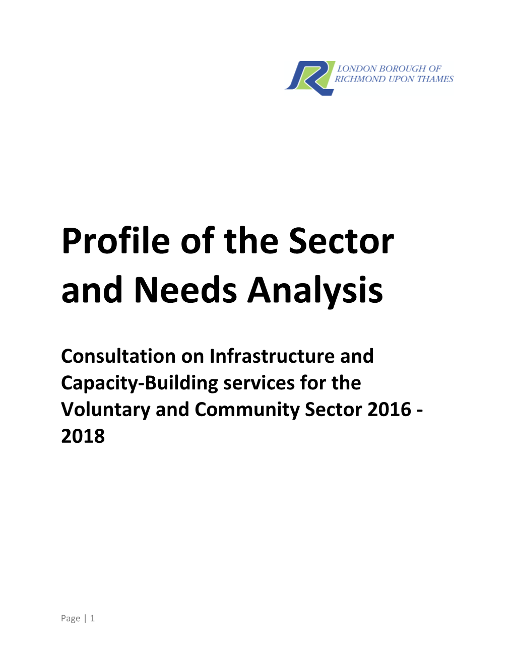 Options Paper: Commissioning Infrastructure and Capacity-Building Services in the Voluntary