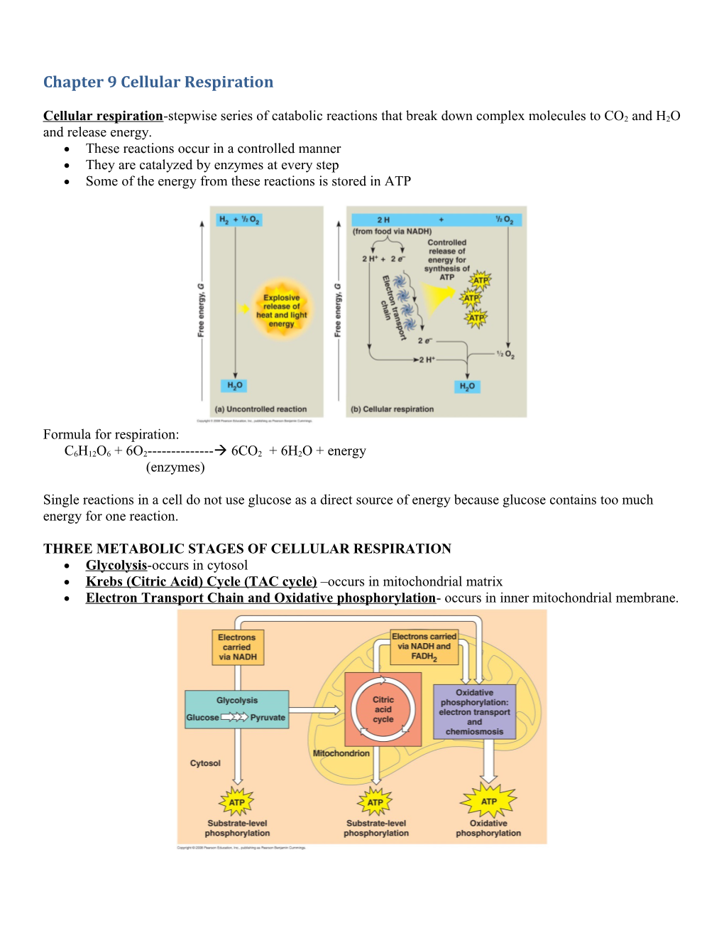 Chapter 9 Cellular Respiration