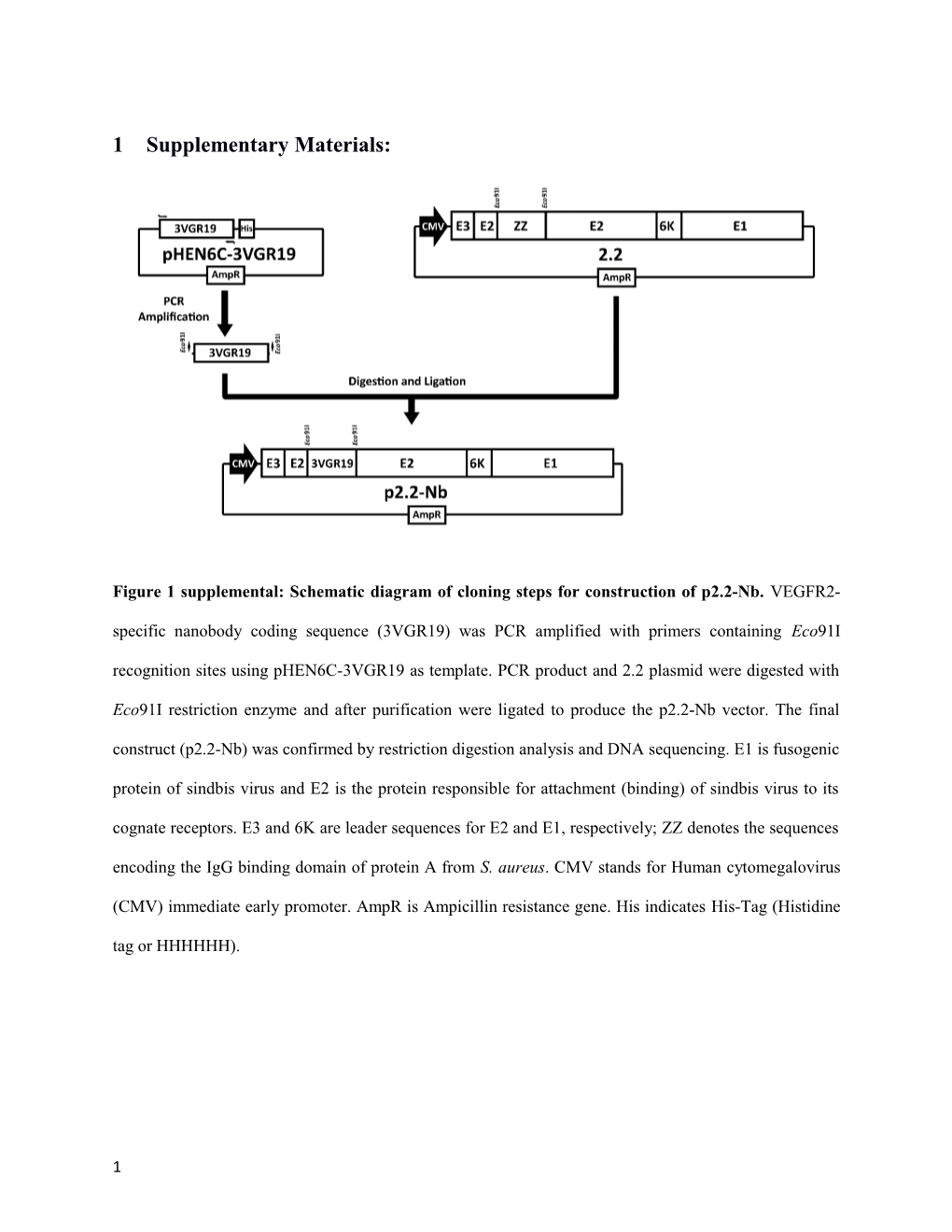 Figure 1Supplemental: Schematic Diagram of Cloning Steps for Construction of P2.2-Nb