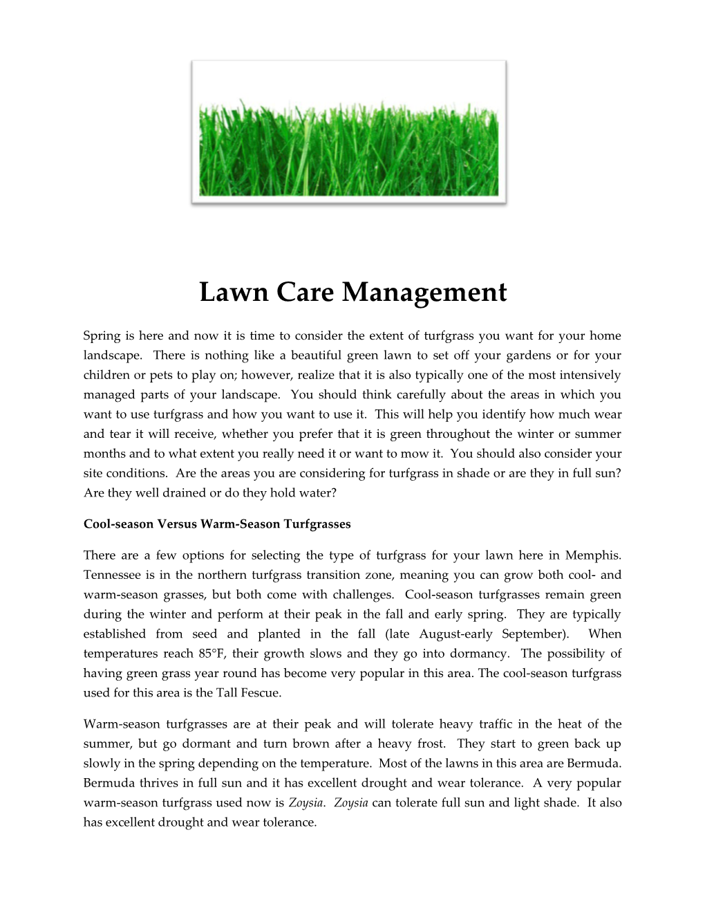 Cool-Season Versus Warm-Season Turfgrasses