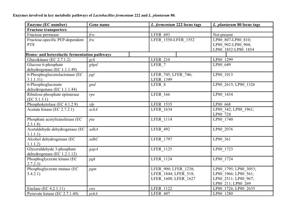 Enzymes Involved in Key Metabolic Pathways of Lactobacillus Fermentum 222 and L. Plantarum 80