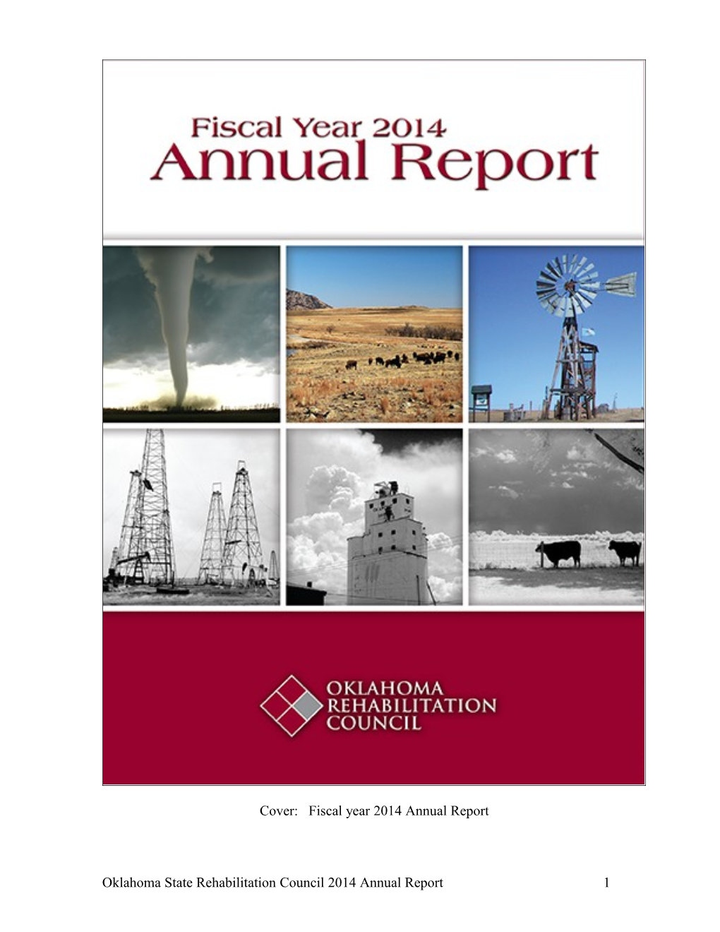 Cover: Fiscal Year 2014 Annual Report