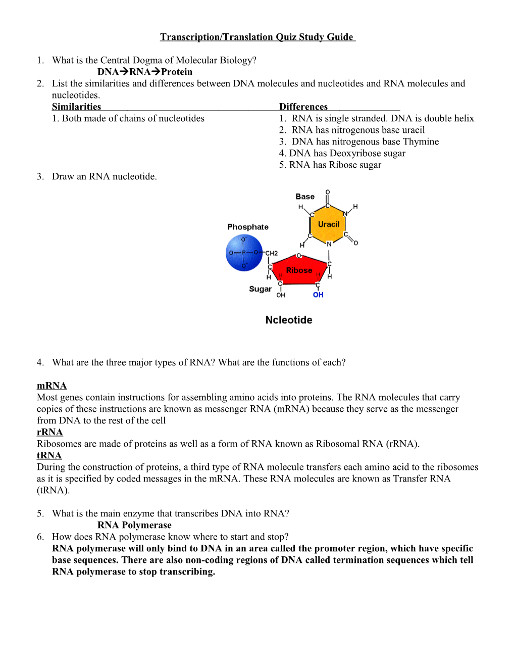 Transcription/Translation Quiz Study Guide