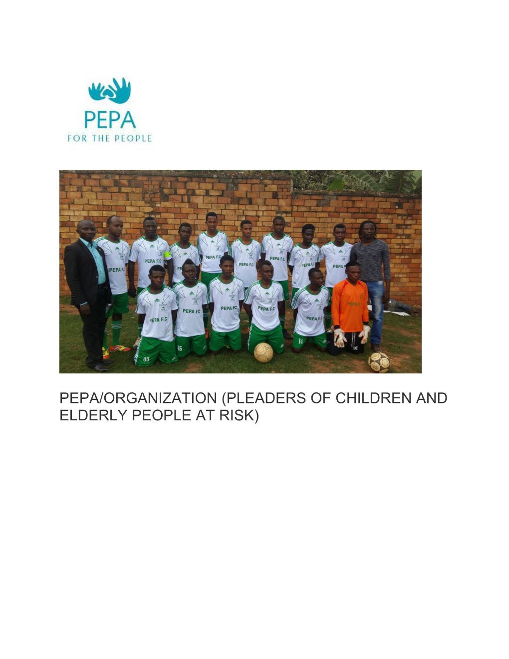 Pepa/Organization (Pleaders of Children and Elderly People at Risk)