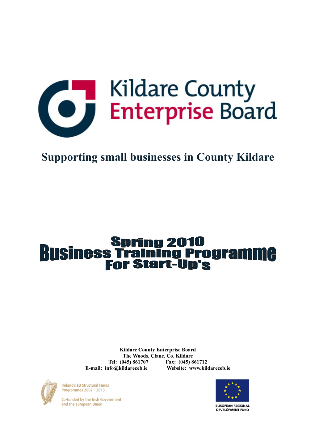 Supporting Small Businesses in Countykildare