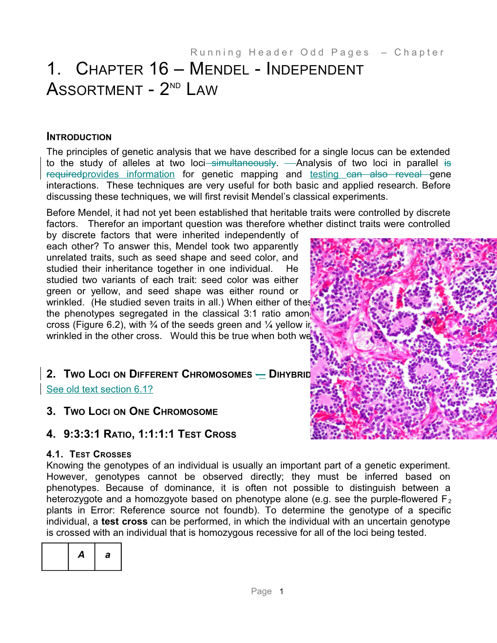 Chapter 16 Mendel- Independent Assortment - 2Ndlaw LC1 JL2