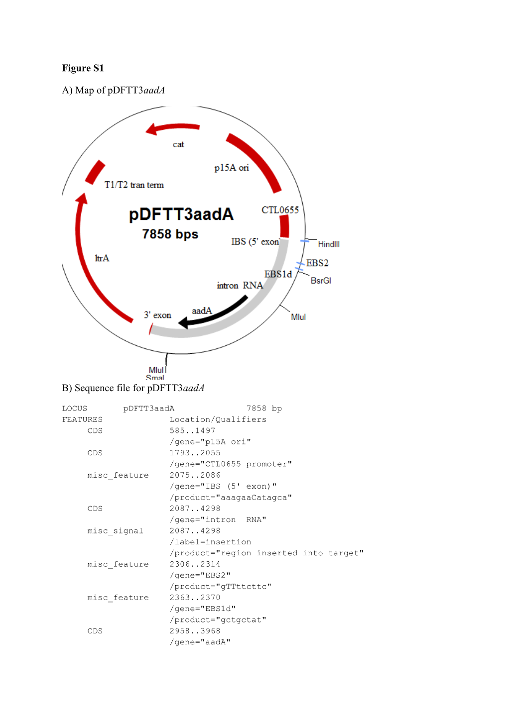 B) Sequence File for Pdftt3aada