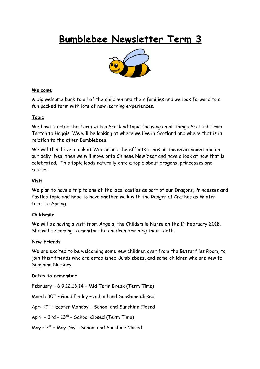 Bumblebee Newsletter Term 3